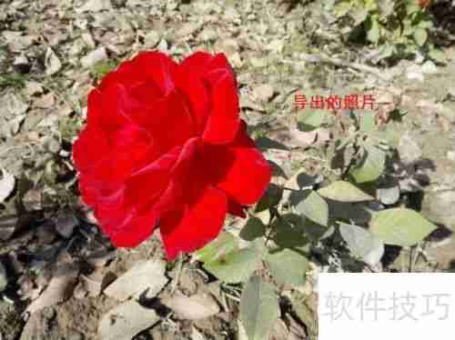 用360手机助手电脑版导出手机照片的方法