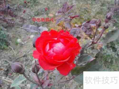 用360手机助手电脑版导出手机照片的方法