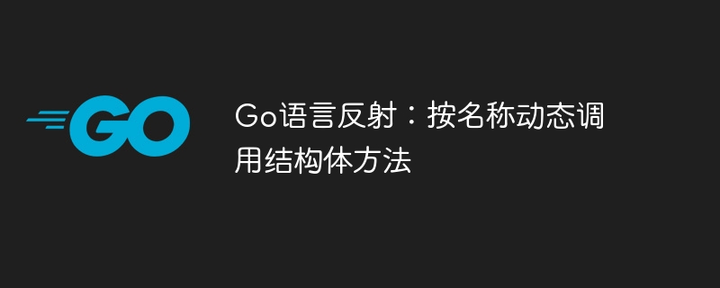 Go语言反射:按名称动态调用结构体方法