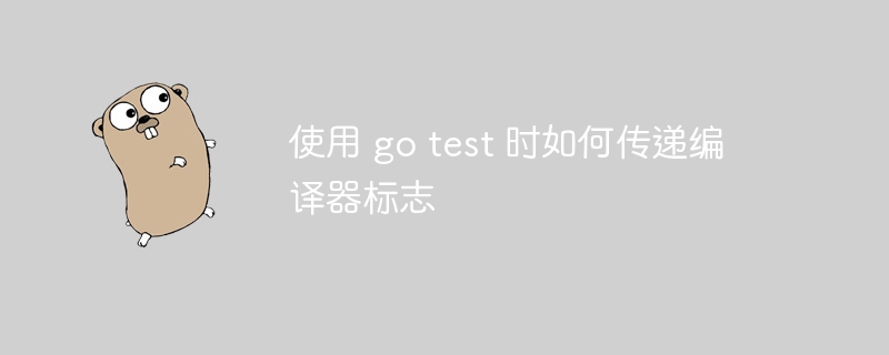 使用 go test 时如何传递编译器标志