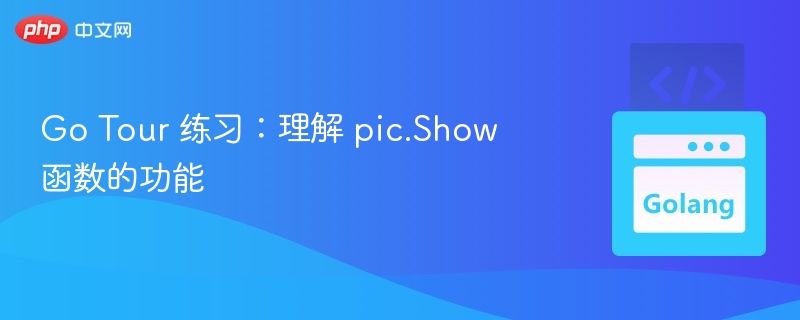 Go Tour 练习：理解 pic.Show 函数的功能