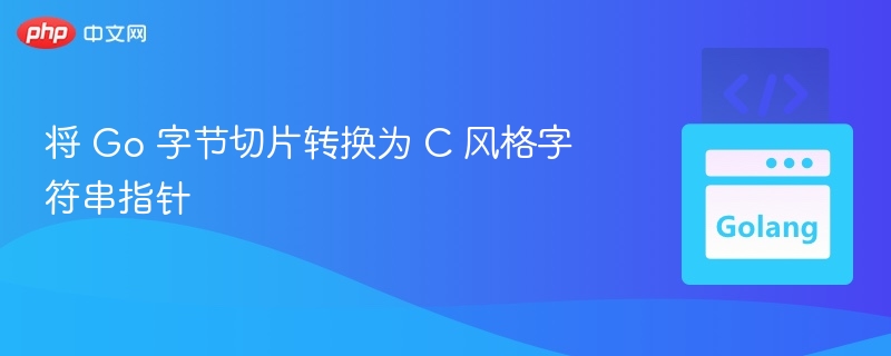将 Go 字节切片转换为 C 风格字符串指针