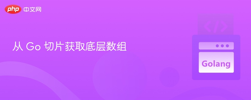 从 Go 切片获取底层数组