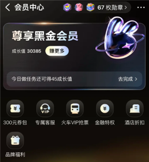 美团黑金会员怎么获得 美团黑金会员需要消费多少钱