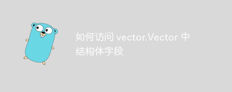 如何访问 vector.Vector 中结构体字段
