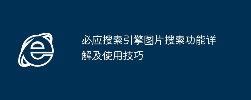 必应图片搜索功能详解与实用技巧