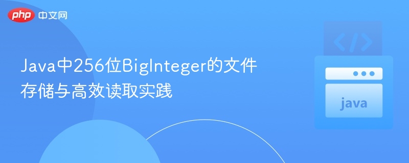 Java中256位BigInteger的文件存储与高效读取实践