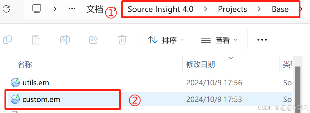 source insight怎么添加注释？source insight添加注释的方法
