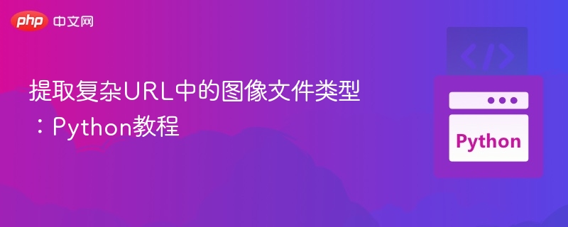提取复杂URL中的图像文件类型：Python教程