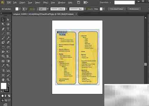 AI入门：快速掌握Illustrator