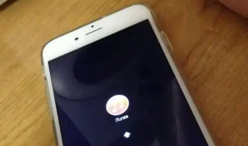 手机无信号怎么处理？实用信号增强技巧