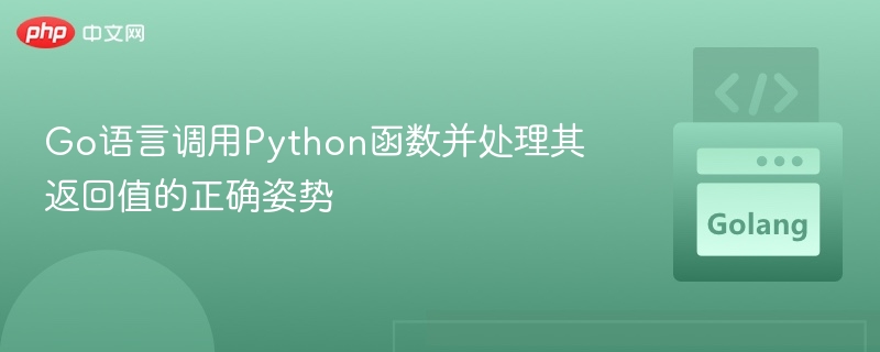 Go调用Python函数及返回值处理方法
