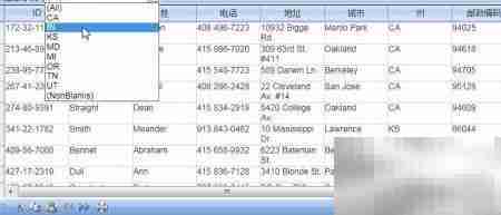 Spread Studio图表过滤定制