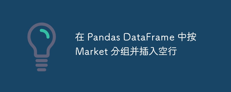 Pandas 按 Market 分组插入空行方法
