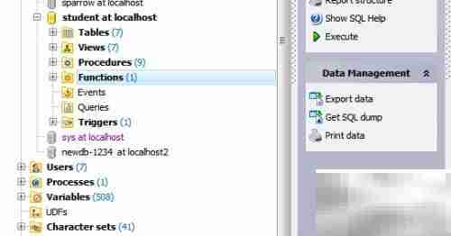 Maestro查询操作指南