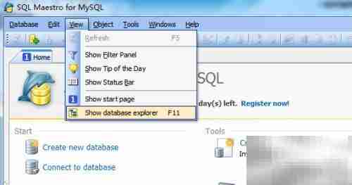 Maestro查询操作指南