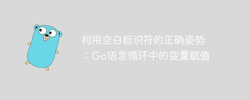 正确使用空白标识符：Go循环变量赋值技巧