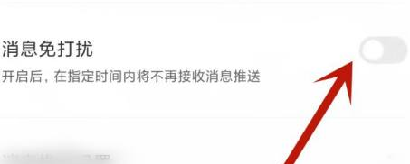 boss直聘消息免打扰功能如何打开