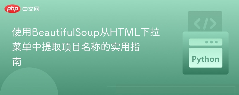 BeautifulSoup提取下拉菜单项目指南