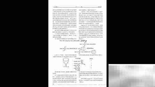 福昕Reader全屏动画技巧