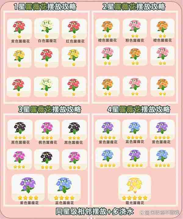 心动小镇露薇花杂交培育指南