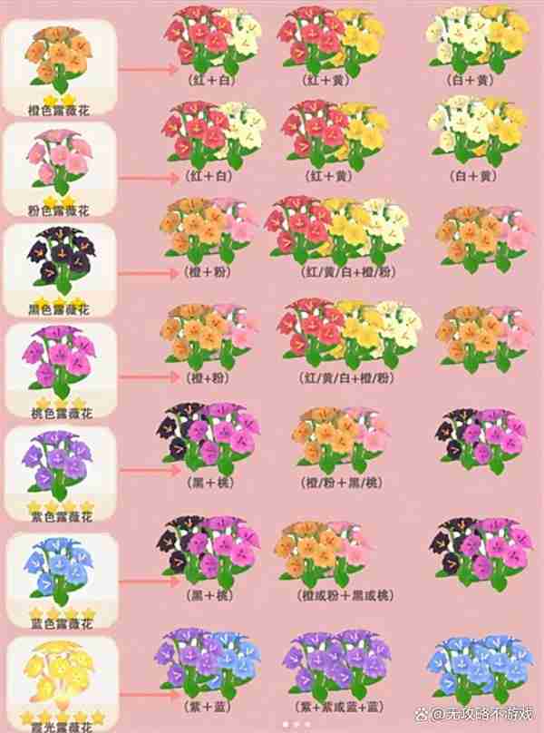 心动小镇露薇花杂交培育指南