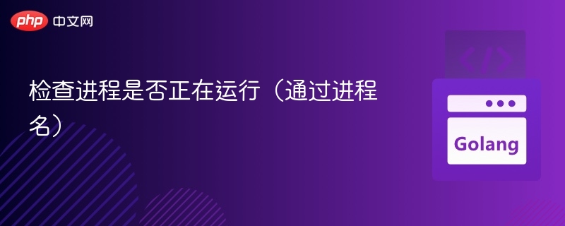 检查进程是否运行：通过进程名快速判断