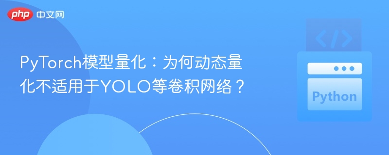 PyTorch动态量化为何不适用于YOLO？