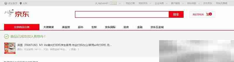 奔图官网首页（官方网址入口）