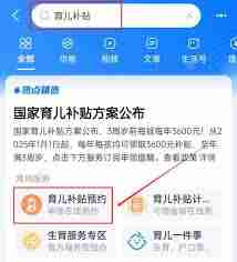 国家育儿补贴官网入口在哪