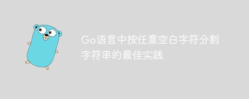 Go语言中按任意空白字符分割字符串的最佳实践
