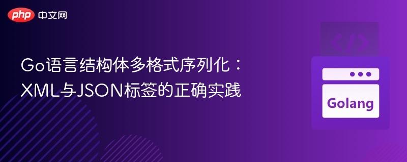 Go语言结构体多格式序列化：XML与JSON标签的正确实践
