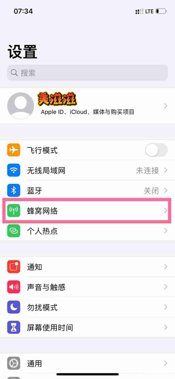 苹果手机物联卡lte热点怎么开