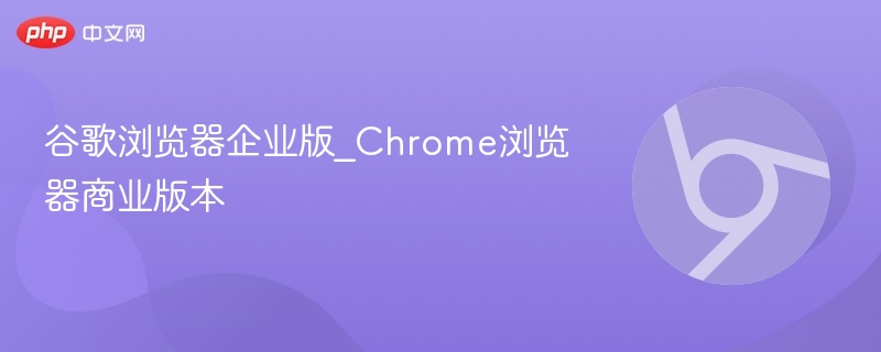 谷歌浏览器企业版_Chrome浏览器商业版本