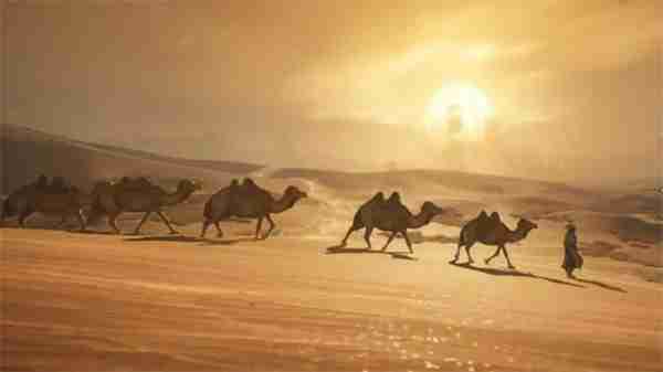 燕云十六声凉州篇内容介绍及开荒攻略