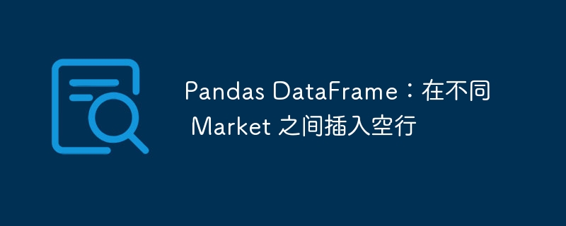 Pandas DataFrame：在不同 Market 之间插入空行