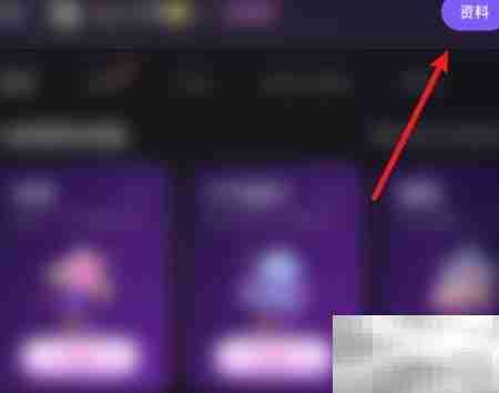 小陪伴语音查看主播资料方法