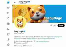 宝贝狗币能涨到一分钱吗