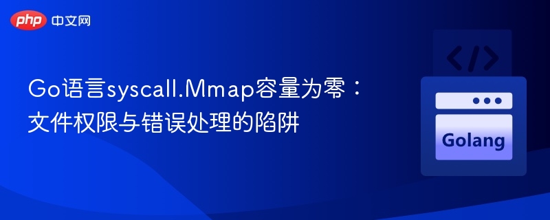 Go语言mmap零容量陷阱：权限与错误处理解析