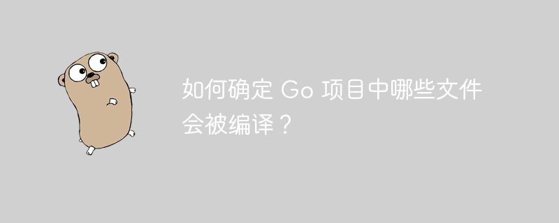 如何确定 Go 项目中哪些文件会被编译？