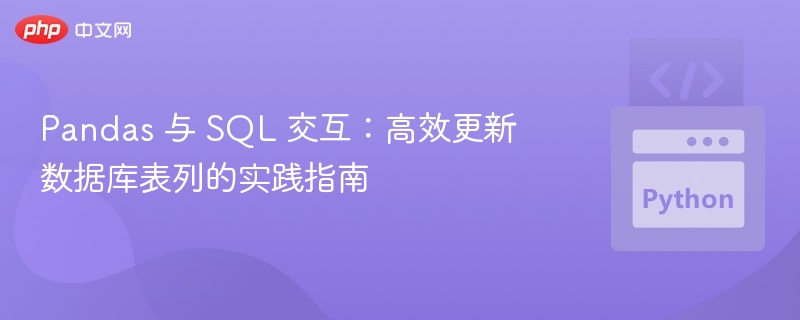 Pandas 如何高效更新 SQL 数据库列