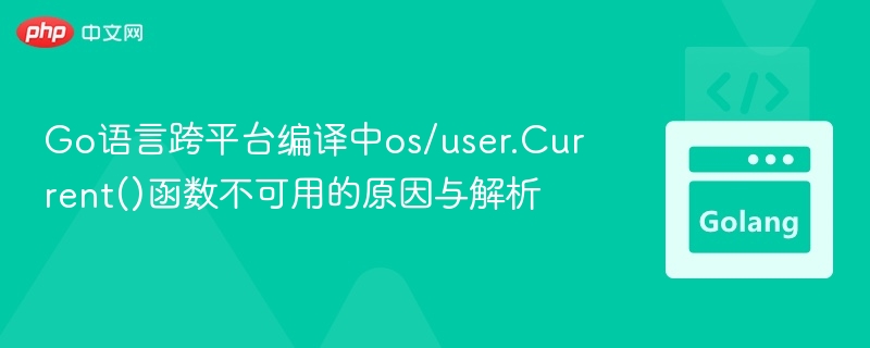 Go语言os/user.Current()跨平台问题解析