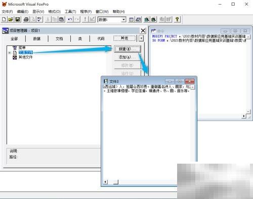 VF6.0表单文本显示设置方法