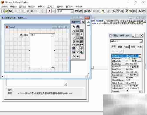 vf6.0表单显示文本内容