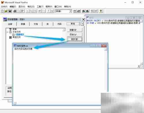 vf6.0表单显示文本内容