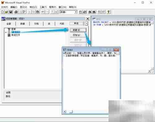 vf6.0表单显示文本内容