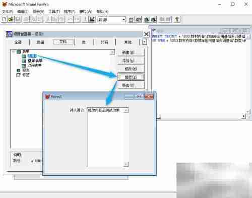 vf6.0表单显示文本内容