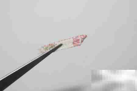 布艺银杏叶制作教程