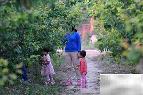 哺乳期可以吃杏吗？