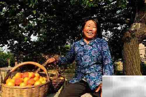 哺乳期可以吃杏吗？